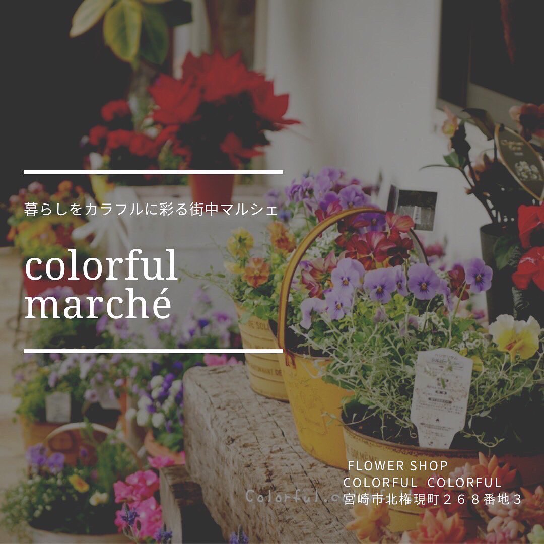 macarom_ram71's tweet photo. 今回、ご縁があって、宮崎市北権現町にあるお花屋さん”colorful colorful”で
素敵なマルシェのご参加させて頂くことになりました✨

日時：2022/10/29(土) 
マルシェ10:30～14:30

ハンドメイドアクセサリーの販売をさせて頂きます✨
素敵な出店 沢山あるのでお近くの方はぜひお立ち寄りくださいませ💞 https://t.co/BVV1kOvSBF