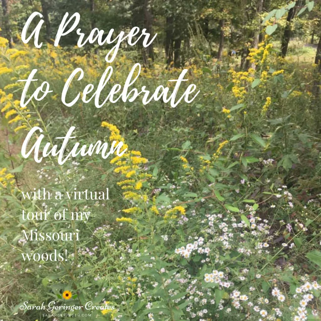 SarahLynneCR's tweet photo. Do you celebrate Autumn? Here's a Prayer to Celebrate Autumn as I take you along with me on a virtual prayer walk through my Missouri woods. Want to come? Join me: https://t.co/dw28HdMzKj #Virtualprayerwalk #prayerwalk #virtualprayer #faith via @SarahGeringer https://t.co/2sbqImCui2