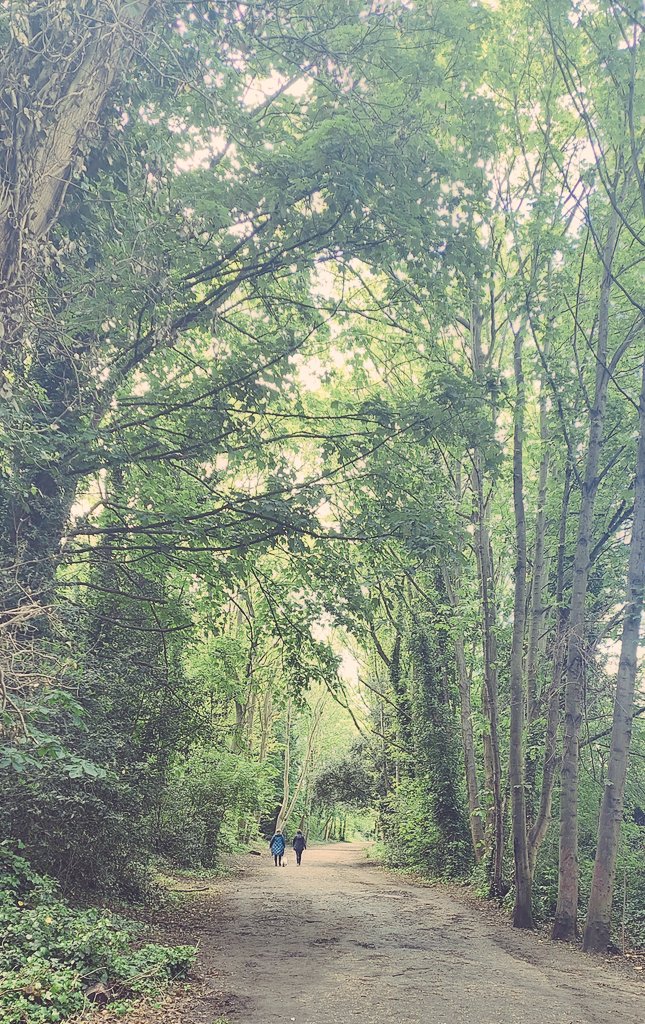 Gm #NFTCommunity 
Have a nice day! linktr.ee/dexhinr?utm_so…