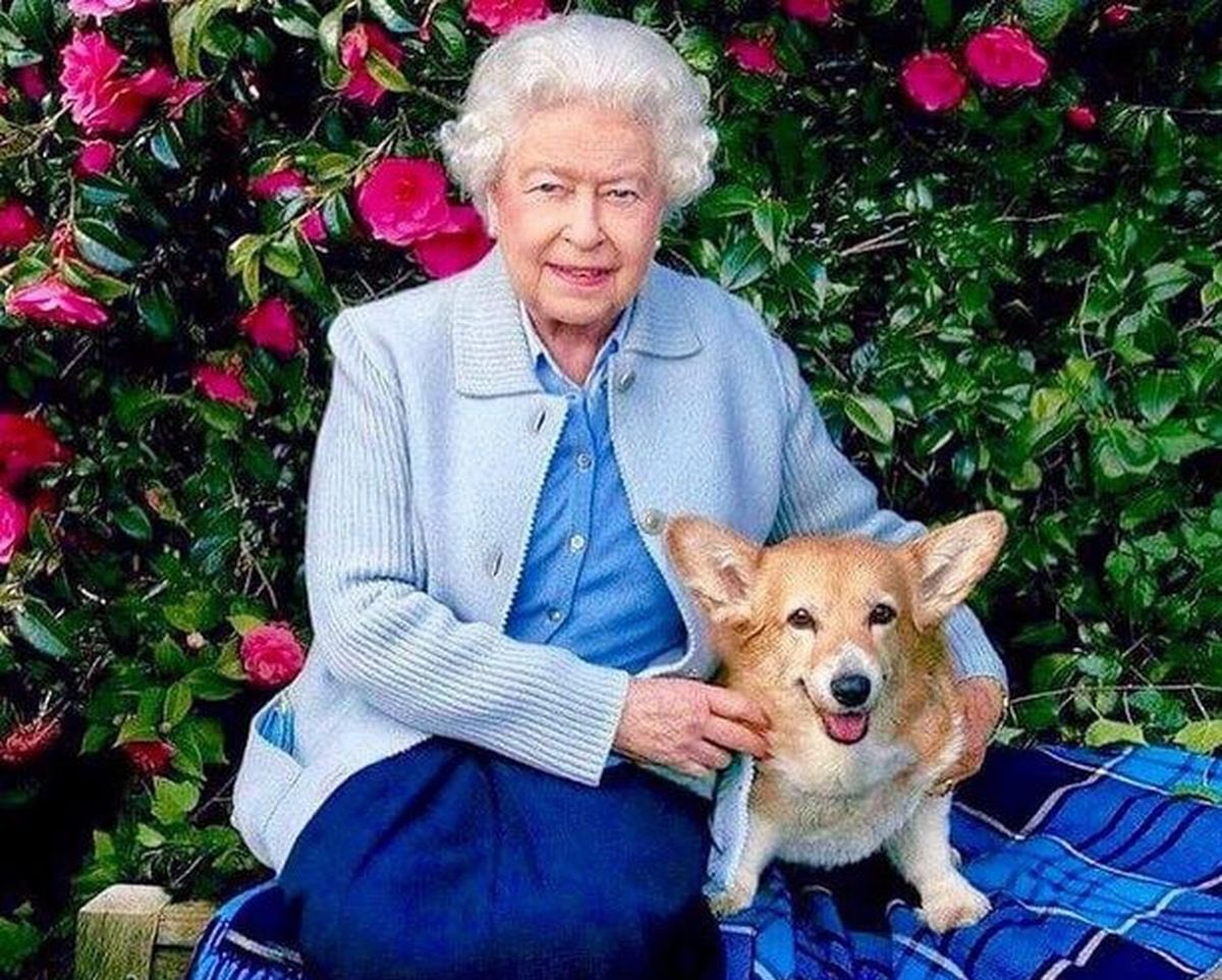 PawsNaturally's tweet photo. We wake up to a new era. Paws Naturally is deeply saddened to learn of the passing of Her Majesty Queen Elizabeth II.
The sad news of Queen Elizabeth’s passing has touched all of us around the world. https://t.co/R45ClxWJ6E