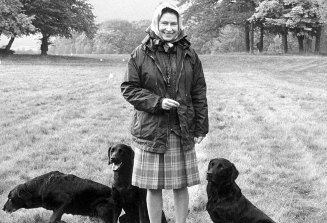 ShootingTimes's tweet photo. A fine countrywoman, a superb gundog handler, and a remarkable Queen. The world mourns https://t.co/OGpVdpBmBZ