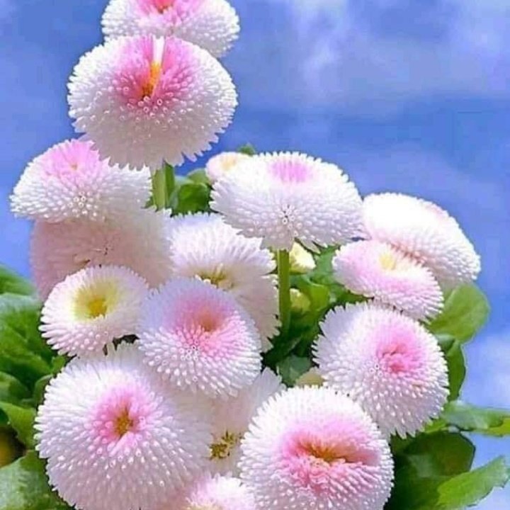 AbidSb3's tweet photo. #NewProfilePic https://t.co/hOeXJLZJcx