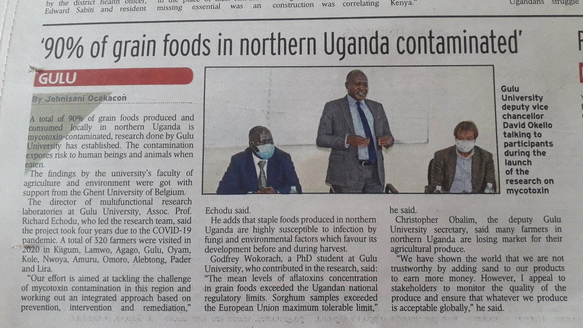 THRiVE Consortium (@thrivedeltas) on Twitter photo A recent study conducted by Prof. Richard Echodu, a THRiVE-2 career development awardee & Director of <a href="/Guluvarsitylabs/">Gulu University Multifunctional Research Labs</a> discovered that 90% of the grain eaten by people in northern Uganda is contaminated with #aflatoxins. They cause massive poisoning😱-
<a href="/newvisionwire/">The New Vision</a> reports👇 A recent study conducted by Prof. Richard Echodu, a THRiVE-2 career development awardee & Director of <a href="/Guluvarsitylabs/">Gulu University Multifunctional Research Labs</a> discovered that 90% of the grain eaten by people in northern Uganda is contaminated with #aflatoxins. They cause massive poisoning😱-
<a href="/newvisionwire/">The New Vision</a> reports👇