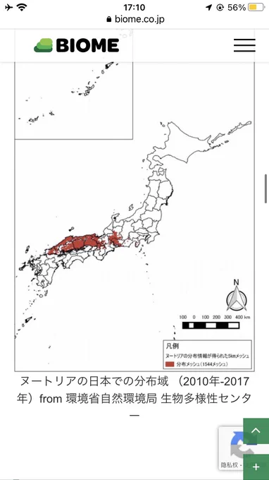 分布が局地的なんだなあ
ヌートリア

https://t.co/2bov8SUYGN 