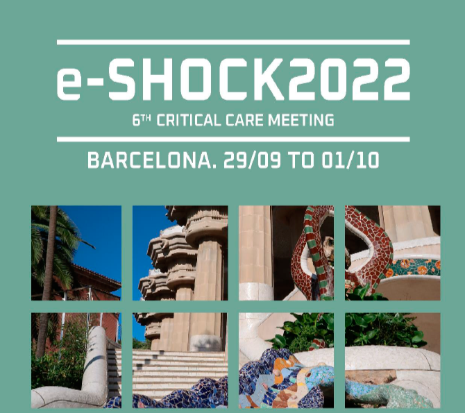ecovallhebron's tweet photo. El objetivo de la reunión es la revisión de los conceptos clínicos más relevantes y actuales de la enfermedad crítica. . La actual edición vuelve a ser interactiva, con talleres prácticos y simulación. @sci_sedar @semicyuc
https://t.co/h0un4po9BN https://t.co/6IPynUQegR