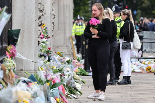 DailyMirror tweet picture