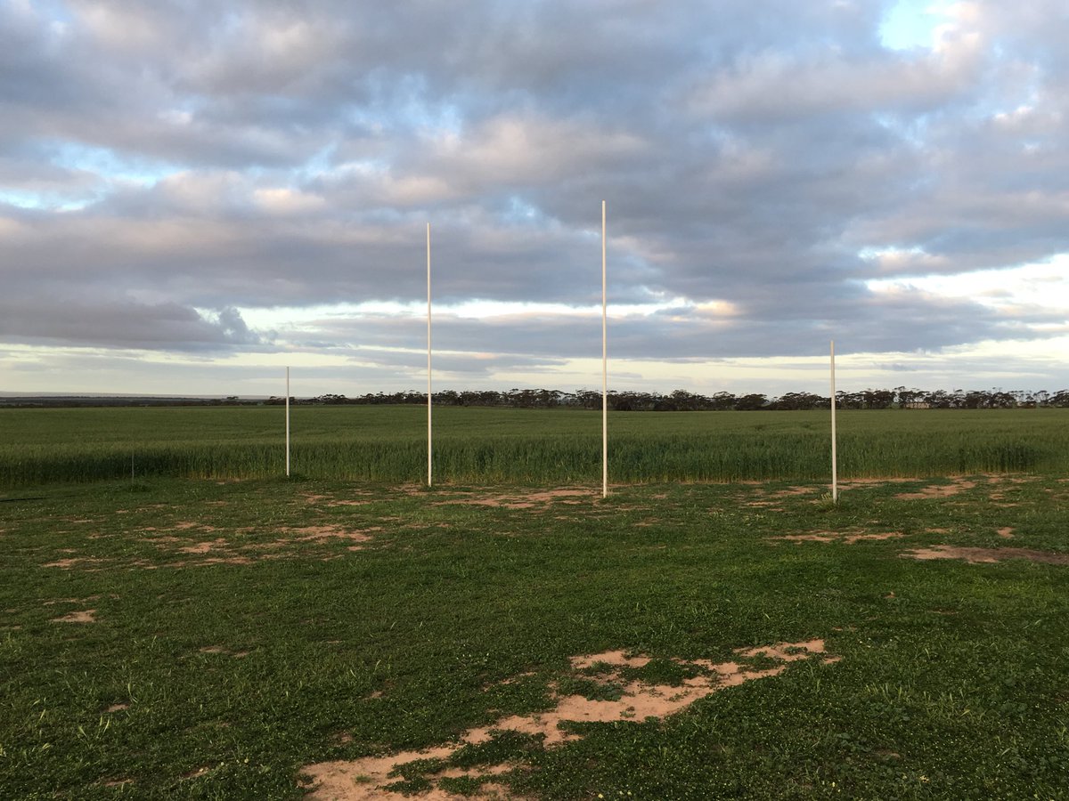 Dal Waters tweet media