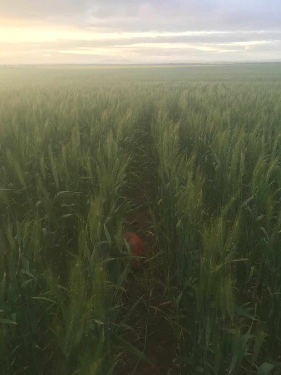 Dal Waters tweet media