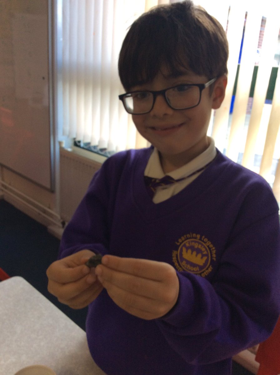 KingsleyLpool's tweet photo. Year 3 have been geologists today; observing different rocks and minerals! #kingsleyscience #thinkingscientifically #class3c #class3b #class3H https://t.co/r5MY7xu1D6