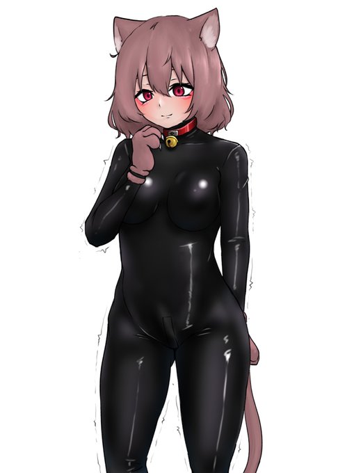 きぐるみ ฅ•ω•ฅ 