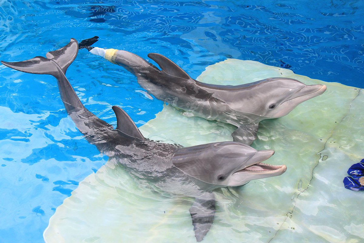 What makes you different, makes you unique! #WinterInspiresForever