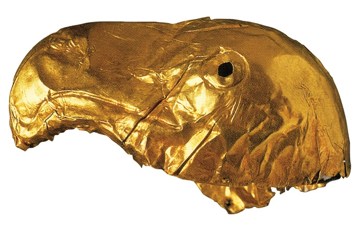 New genetic analysis provides evidence that the Avars, a powerful group of nomads who conquered much of Europe starting around the sixth century A.D., originated in what is now Mongolia.

archaeology.org/issues/482-220…