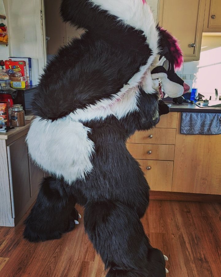 SamyLeStinker~ 🦨🩷🩵🩷 tweet media