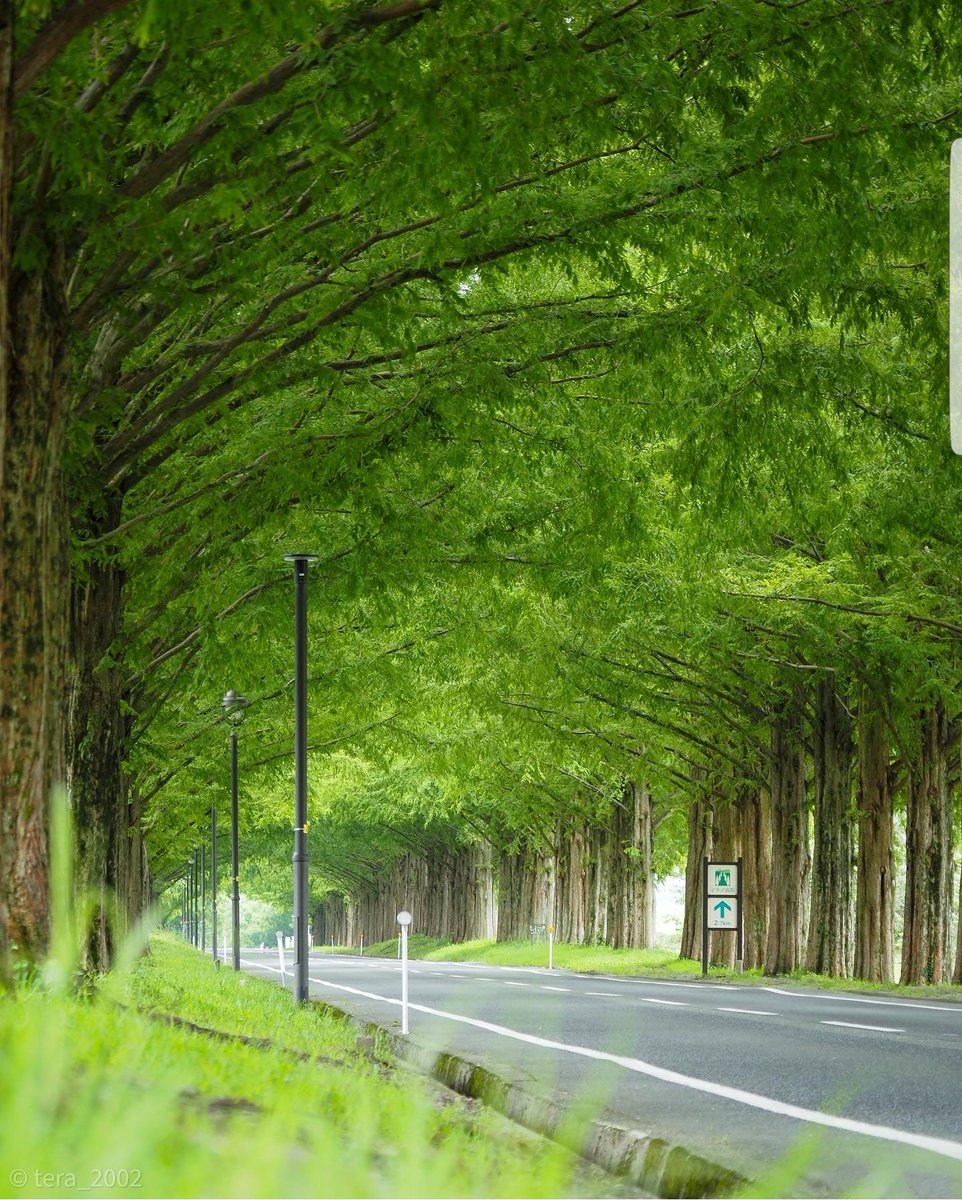 Takashima 🇯🇵Japan