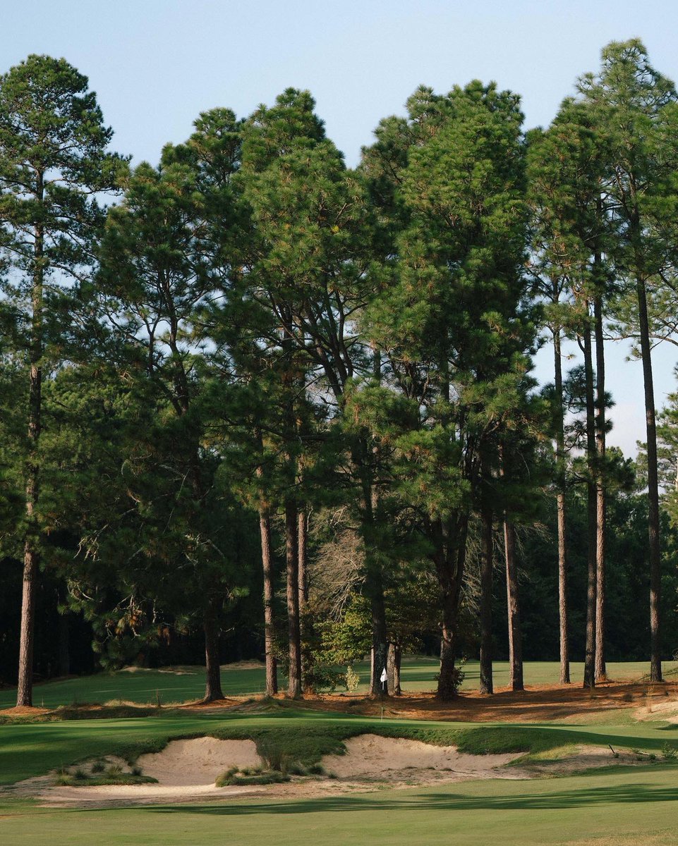 Barnttmedia's tweet photo. These humid temps have beat us up all summer but it’s finally about to be time for some crisp cool air in North Carolina. This means it’s time to get to @PineNeedlesGolf and enjoy the best golf of the season #fallball https://t.co/eiGEwTw58d