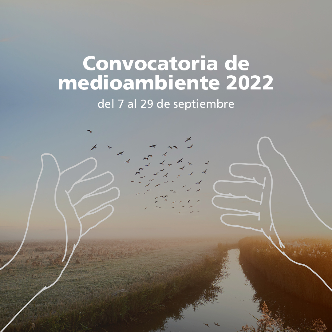 caixabank's tweet image. 📢Si eres una ONG de más de 1 año de antigüedad y te dedicas a proteger la naturaleza o al desarrollo rural, ¡Preséntate a nuestra Convocatoria de #medioambiente 2022! Junto con más de 10 fundaciones, apoyamos tus proyectos. Inscríbete 👉 bit.ly/3Bse4Ly #CABKAcciónSocial