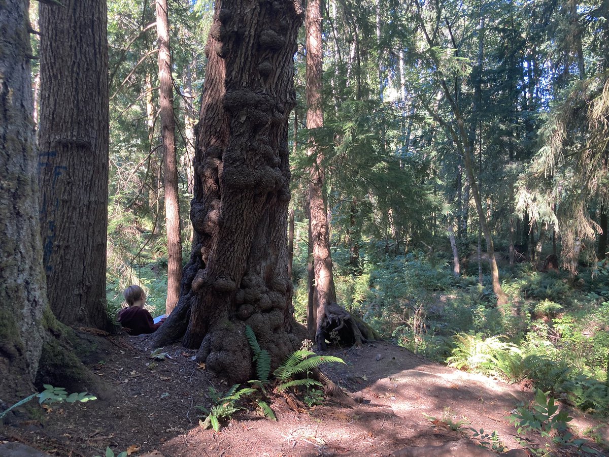 Ms Yager. she/her tweet media