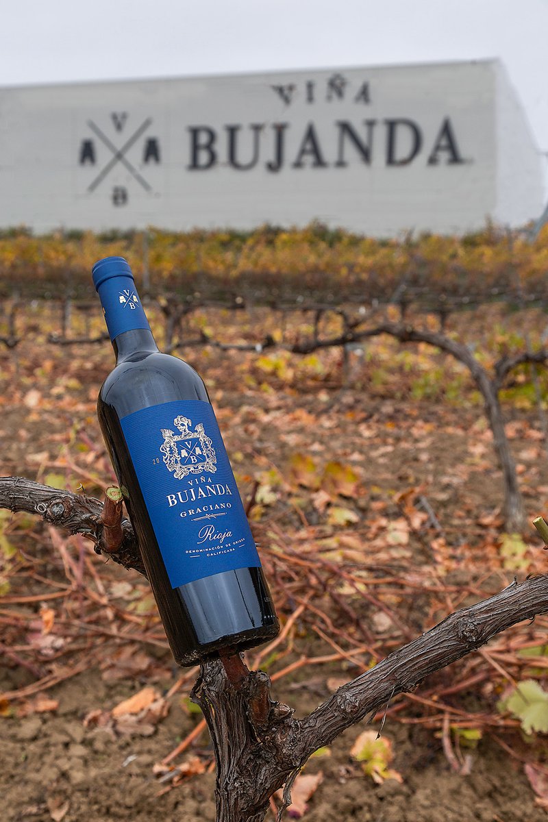 El campo sostiene y da vida a nuestros viñedos. 

Por ello, nuestra mayor responsabilidad es cuidar de la tierra, trabajarla con tesón y el cariño que se merece.

¡Feliz Día Mundial de la Agricultura!