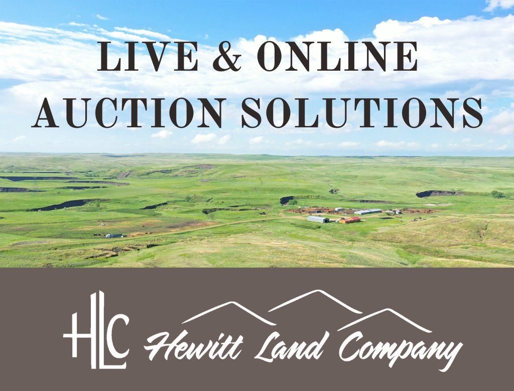 HewittLandCo's tweet photo. HLC e-News: Coming Next week- Newell Ram Show 2022! - https://t.co/ZAr5vUbCC5 

Learn more about our live and online auction solutions for livestock, equipment and real estate at https://t.co/XHYSk11Es0

#HewittLandCompany #HLCAuctions https://t.co/YEnPHDrOpA