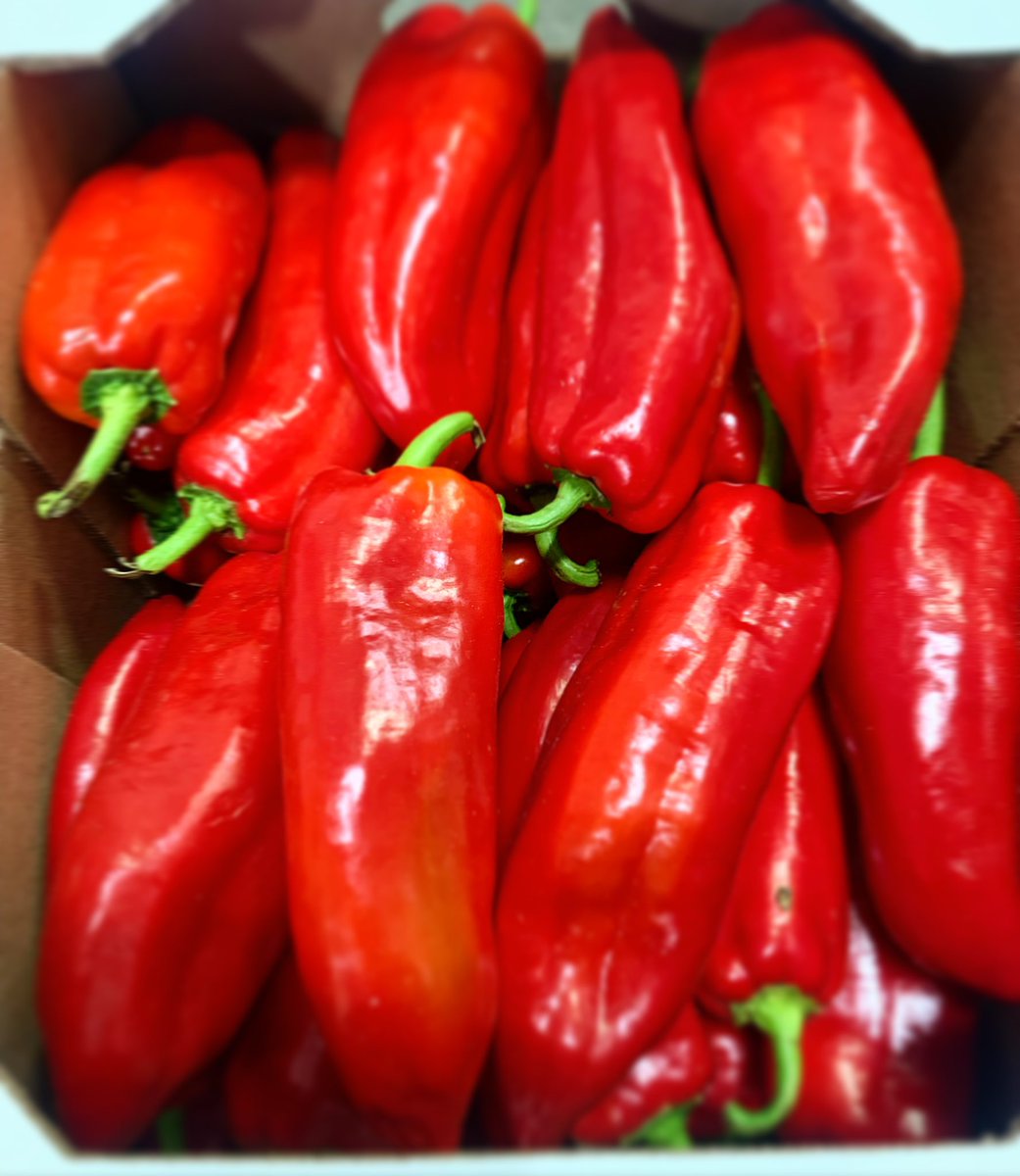 Ontario bunch carrots &amp; sheppard peppers now in stock #goodthingsgrowinontario