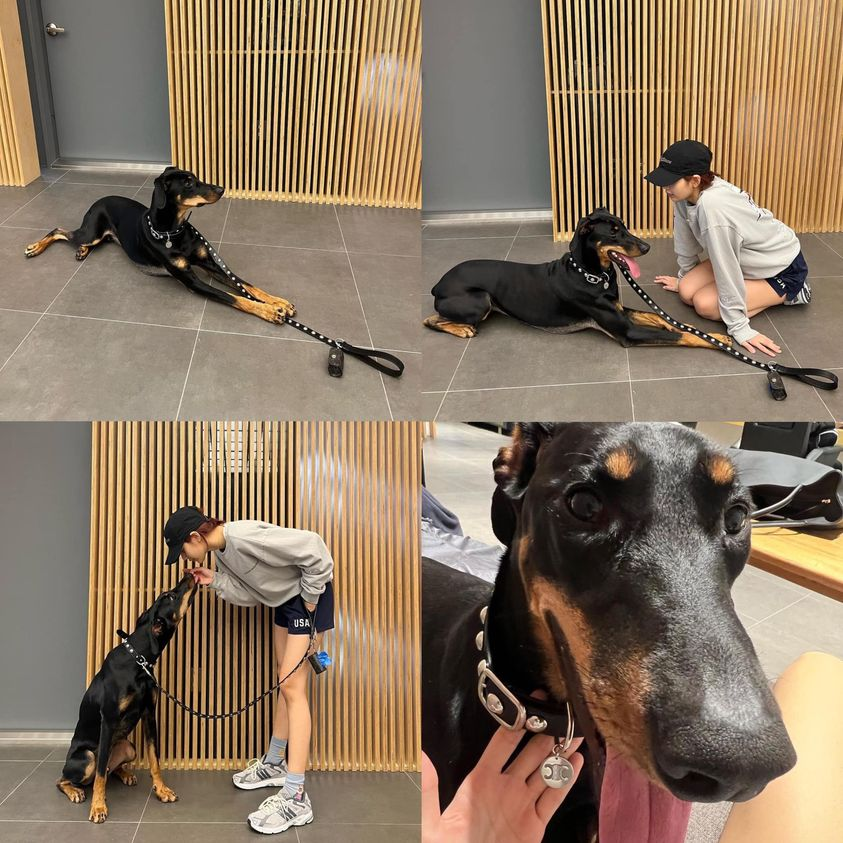ngochavu66's tweet photo. welfare of lalalalisa-m (ig) users for Lilies today #LISA #Llies #Lisa #Lalisa #Celine https://t.co/cbTclkonSp