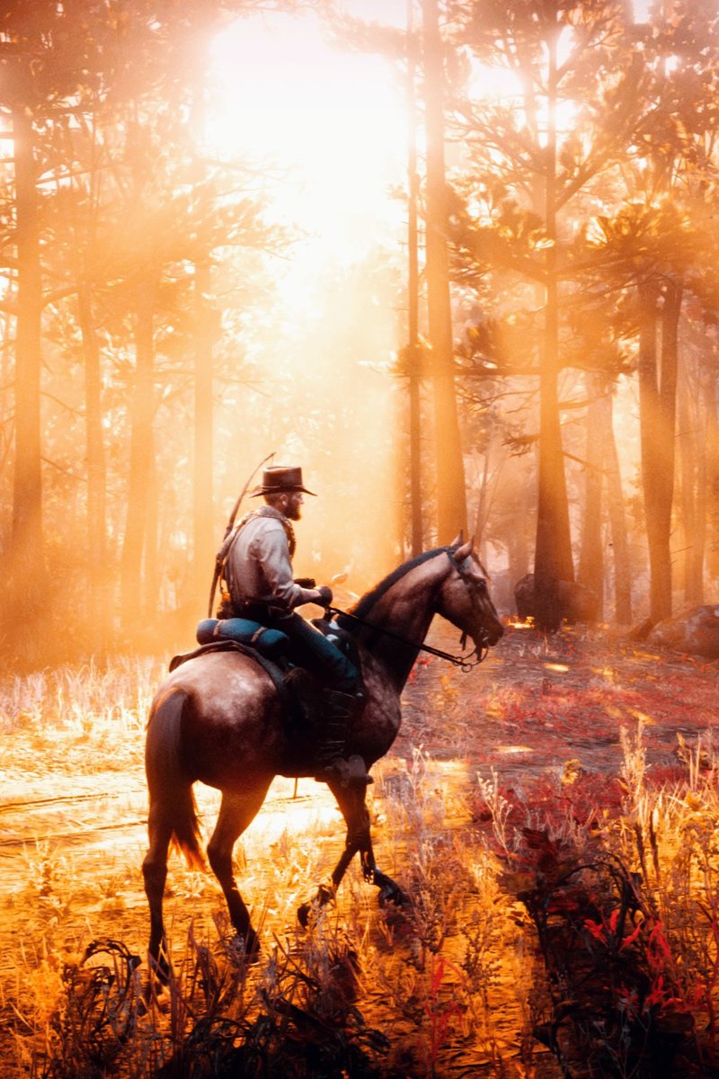 RT @UVioletra: Red Dead Redemption 2

#VirtualPhotography - @PlayStation https://t.co/02jc3cn7EO