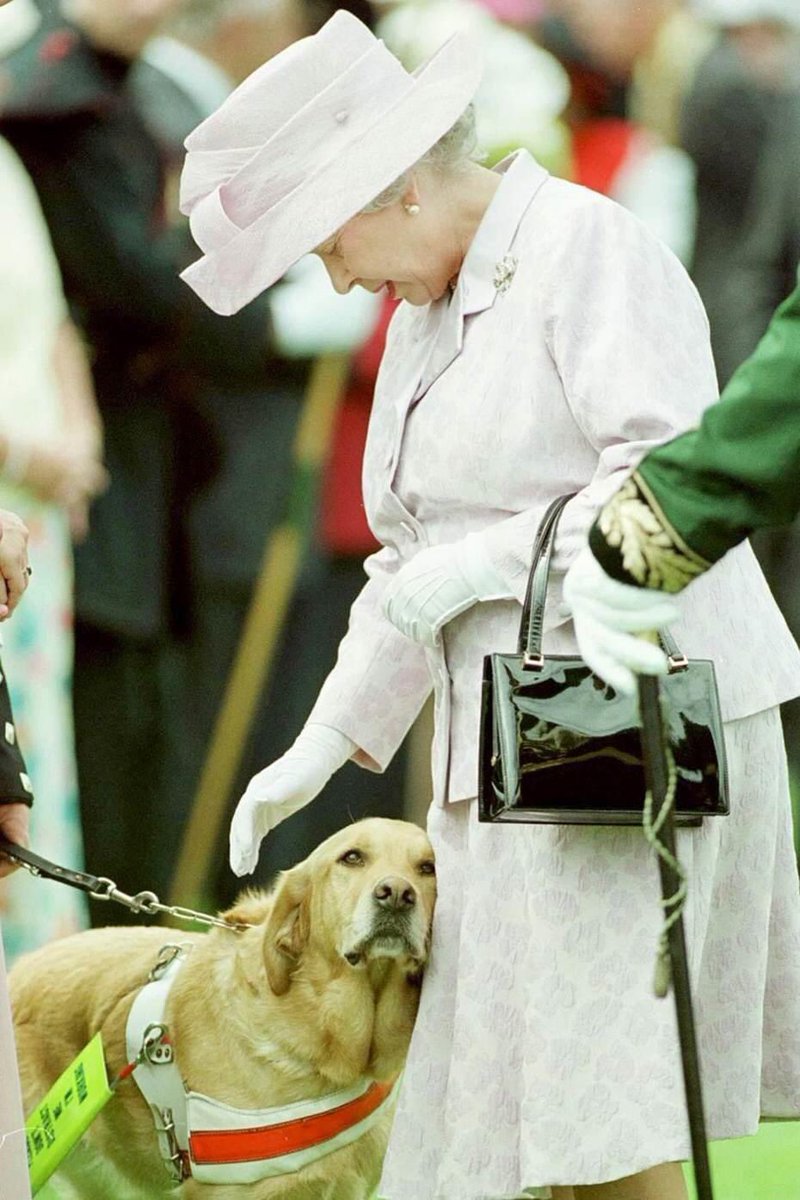 Guide Dogs and the Queen