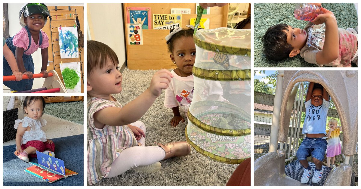 wmsde's tweet photo. This week's @wmsde #newsletter features highlights from the first week of school, as well as our #wmsbacktoschool photo challenge winners! Check it out! https://t.co/03Jg60RUiS #Montessori #EduDE https://t.co/TJg03R8bSN