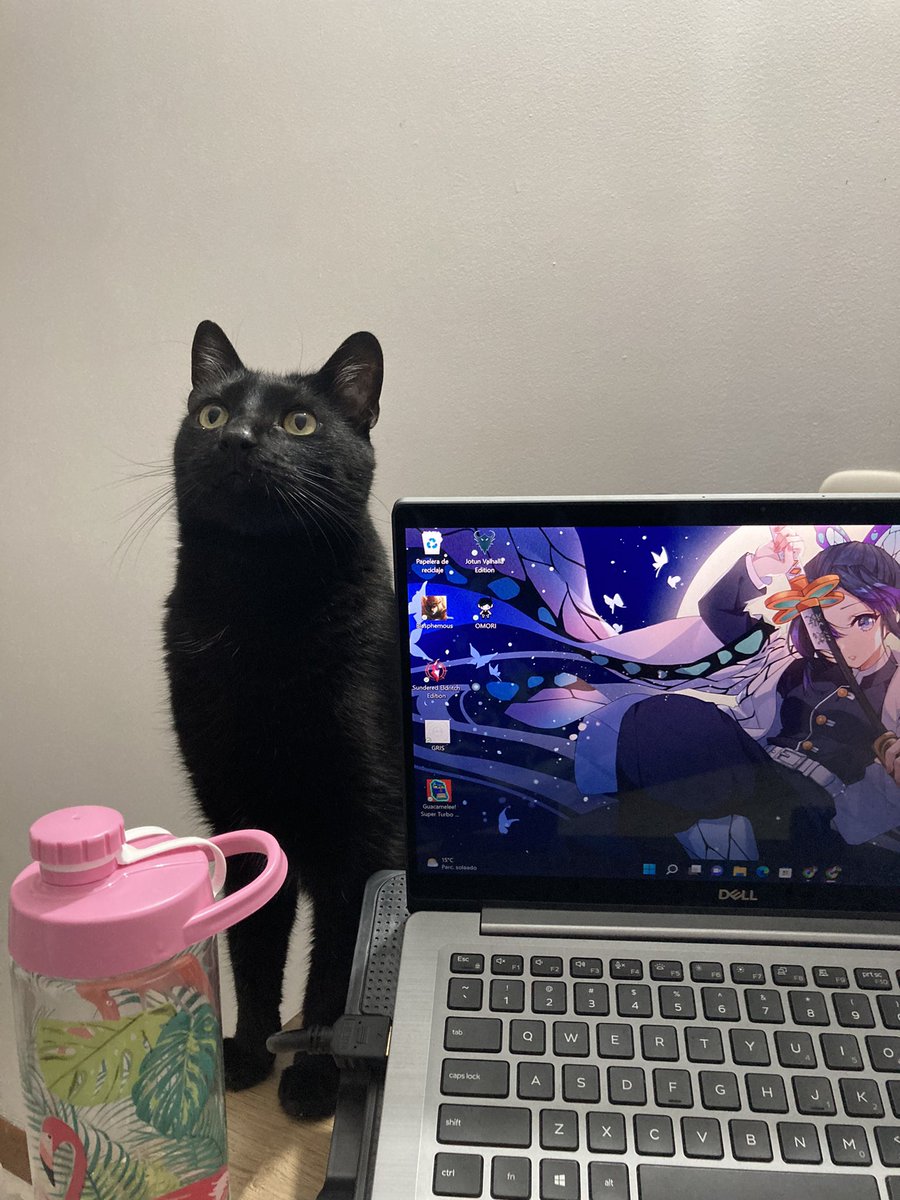 KatherinBarran7's tweet photo. The best workmate #cat #BlackCat #mylove https://t.co/zpzzEkHzIL