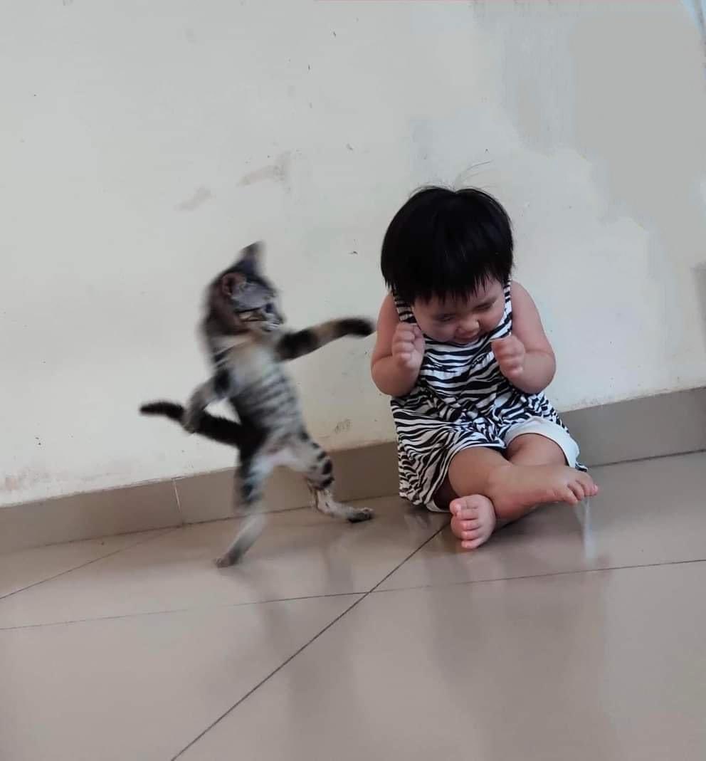 🐈 Kasian adenya di bully 😩