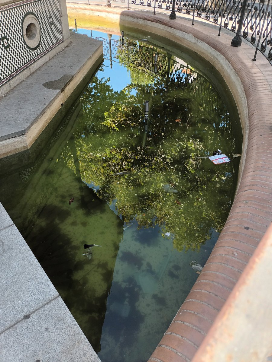 AriTxoBada's tweet photo. San Francisco, San Paco pa' los amigos... su fuente...con su agua verde estancada y ese olor tan característico. #Mantenimiento 🙄
@BarreraGragera @aytodebadajoz #CivismoDesdeArriba @ErikaBadajoz @RCabezasBadajoz @CivicaBadajoz @SOSCABadajoz https://t.co/ykEQYVodXb