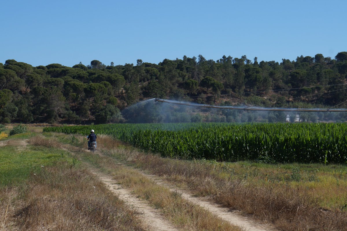 AgroGreenSUDOE's tweet photo. Desde el proyecto #AgroGreen-@Sudoe5 celebramos el #DíaMundialDeLaAgricultura y la importancia que esta actividad tiene en el desarrollo de la vida como la conocemos. Por ello, hoy queremos dar gracias en especial a los agricultores y agricultoras que hacen que esto sea posible✨ https://t.co/CMFfYWSLP1
