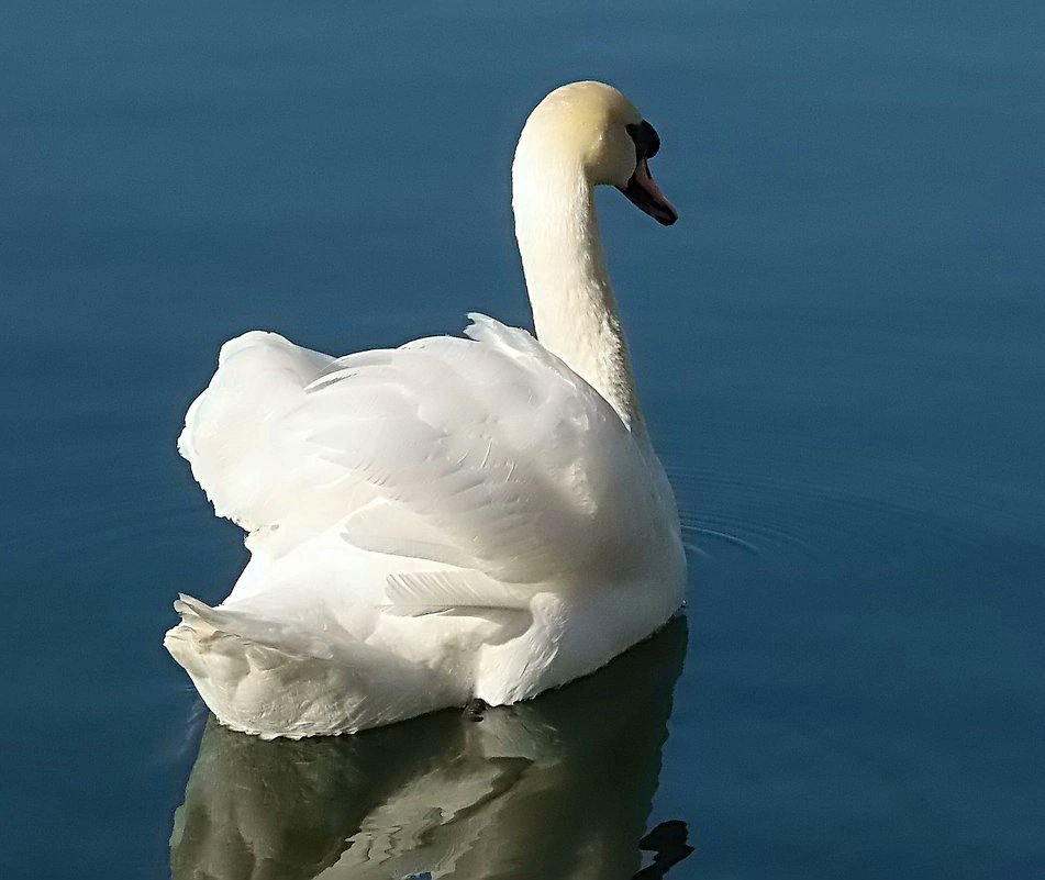 MOUNIR BOUGHRARA (@lbouhmadi_hiba) on Twitter photo 