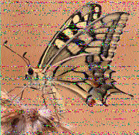 ML_HH's tweet photo. @SWRadiogram Thanks for nice program on 15770 kHz today. Nice signals, some fading, but still good quality. Have a nice weekend and 73! https://t.co/cr3eXUqTBi