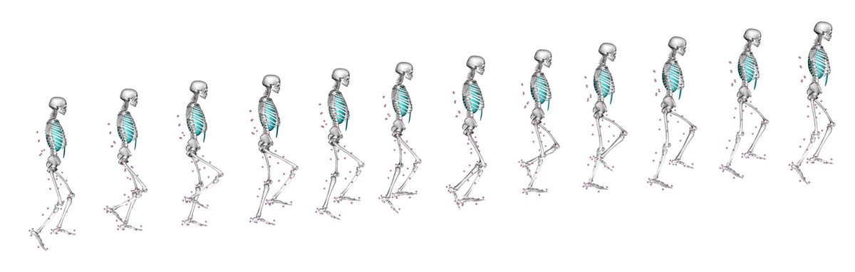 Check out our latest collection on Evolutionary Biomechanics and Human Movement, guest edited by Alison Murray (@ali__murray). ⬇️ cambridge.org/core/journals/… #journal #OpenAccess #articles #collection #evolution #AcademicTwitter