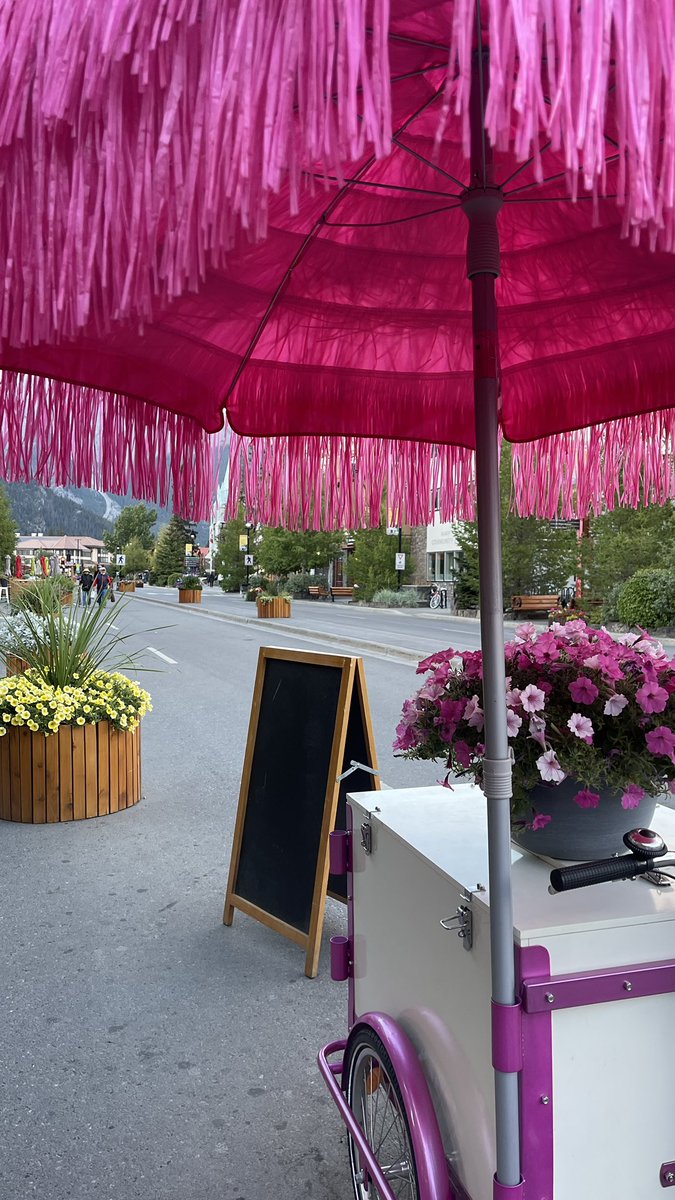 Tanya Carvalho tweet media