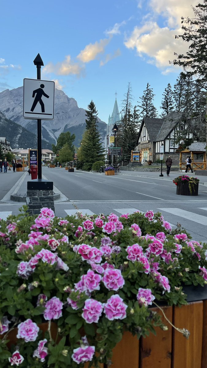 Tanya Carvalho tweet media