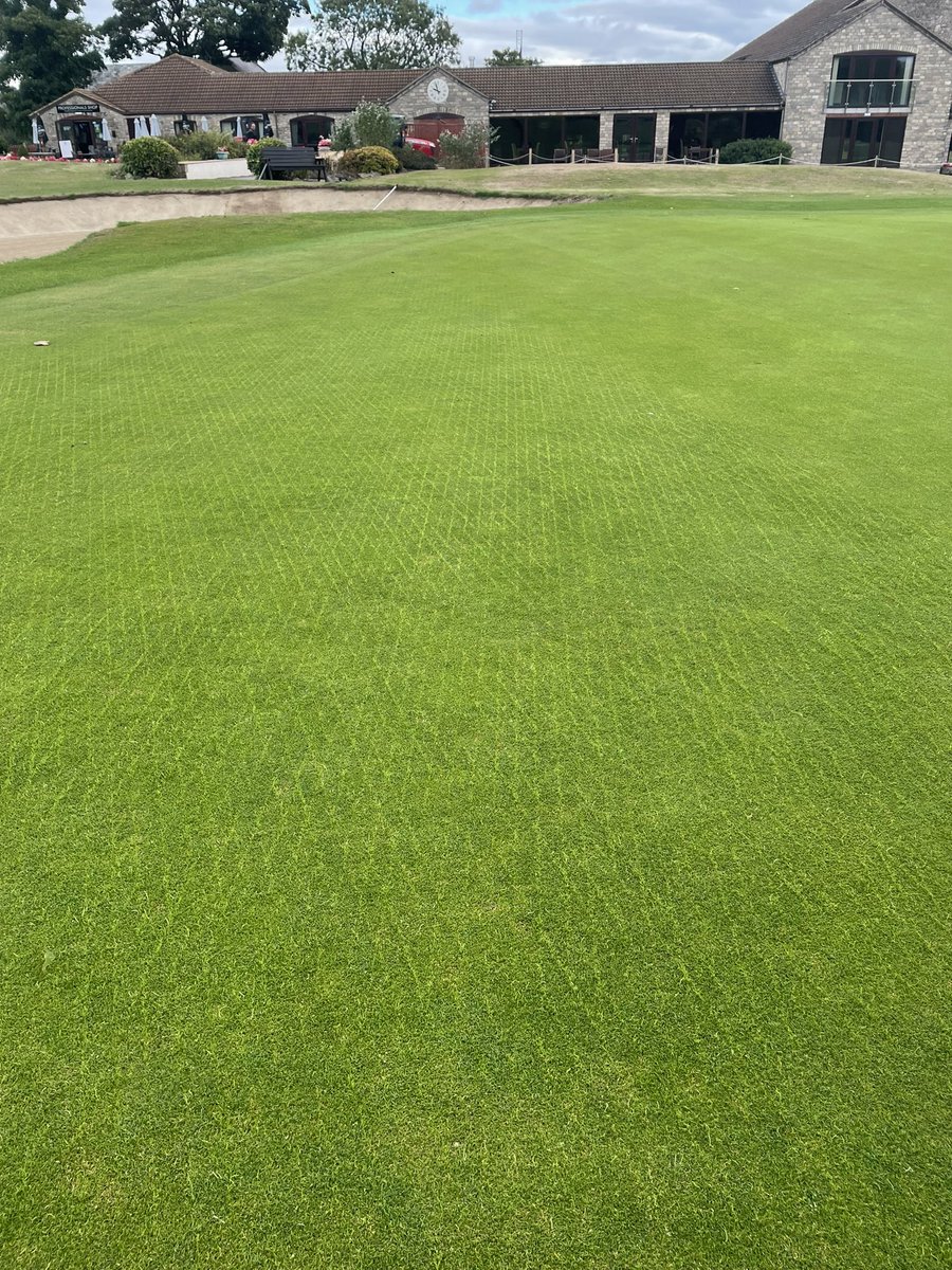 Grabham3's tweet photo. @FarringtonPark Overseeding program converting to browntop bents/fescue going really well. #byebyepoa #Arrowtown #fineturf #sustainability https://t.co/sUwcLzib0Q