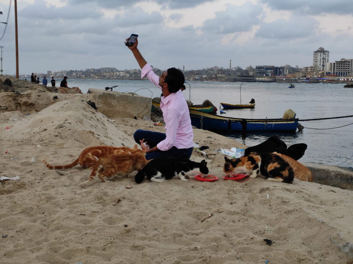 Lawyer_Animal1's tweet image. 🆘During the cat feeding campaign! Many street kitties have had a good mea! It is essential that the cats are collected and neutered to prevent reproducing! Please could you kindly help and donate towards this goal❤️!
paypal.me/help1animals