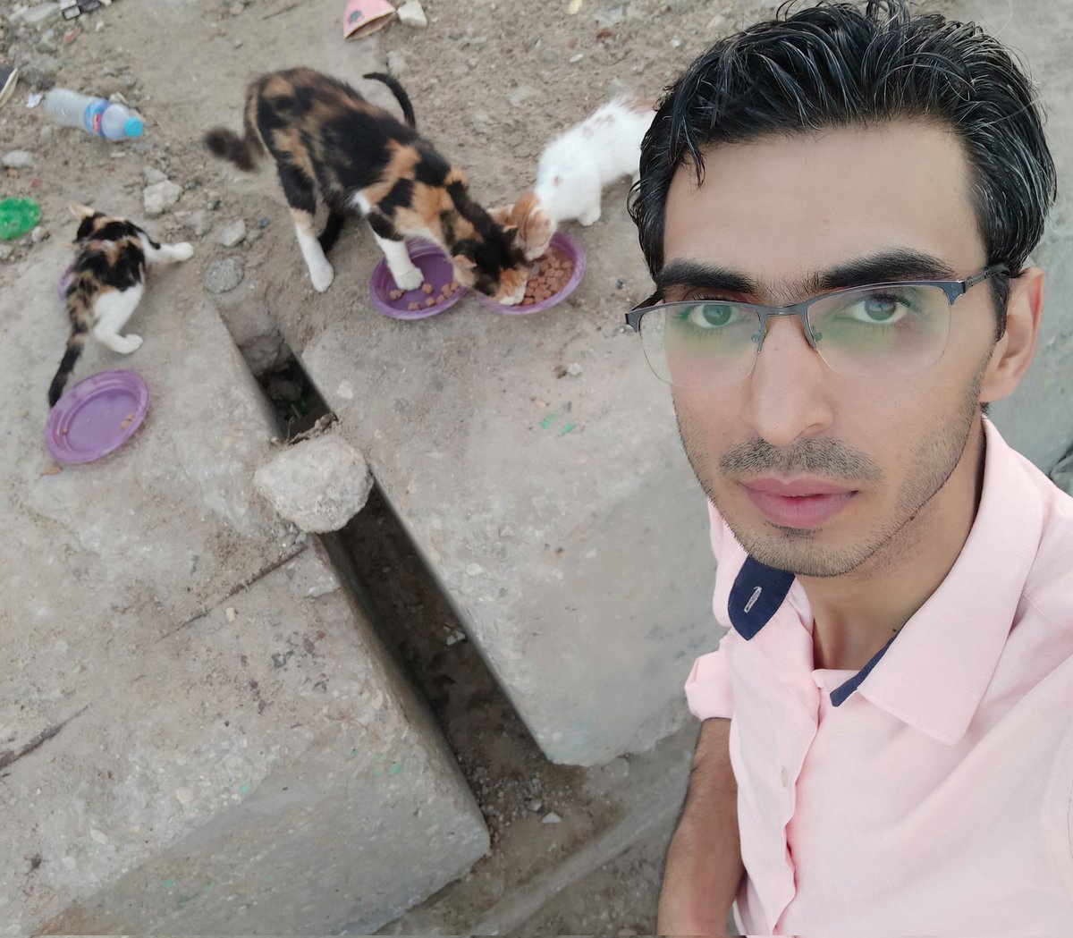 Lawyer_Animal1's tweet image. 🆘During the cat feeding campaign! Many street kitties have had a good mea! It is essential that the cats are collected and neutered to prevent reproducing! Please could you kindly help and donate towards this goal❤️!
paypal.me/help1animals