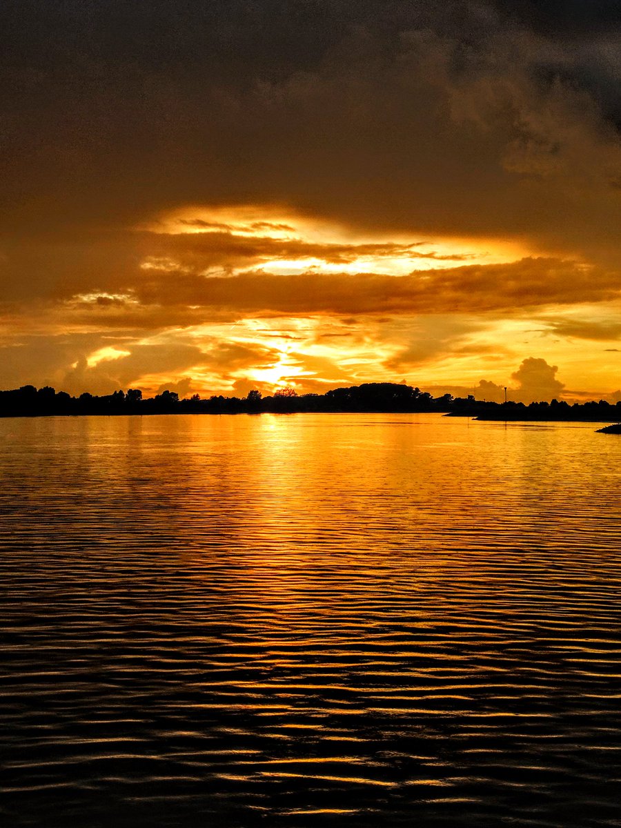 M@rtin Goedbloed tweet media