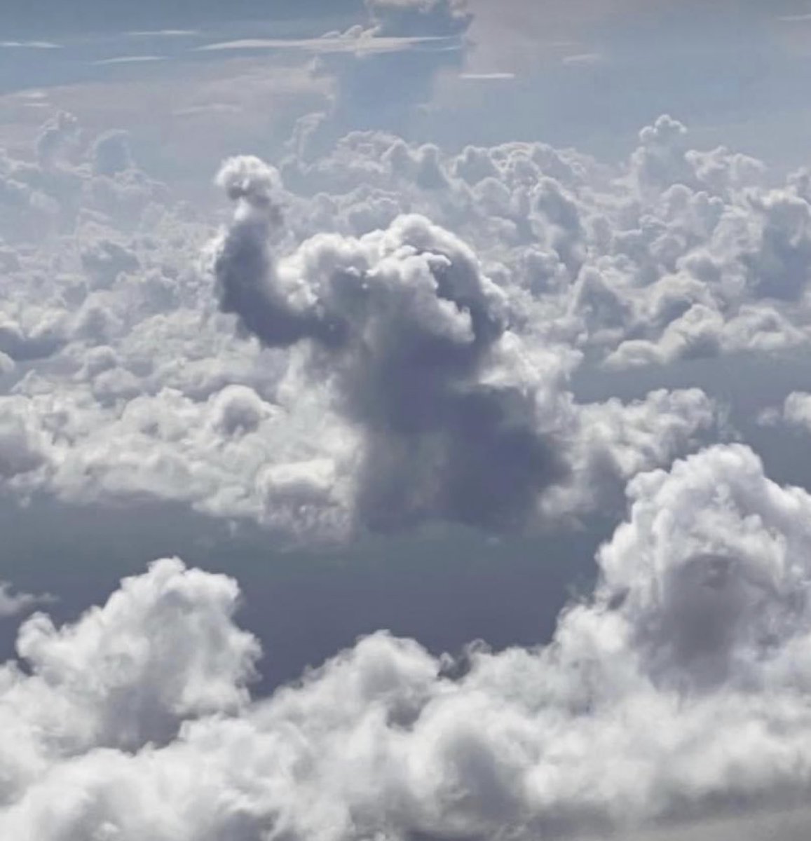 BarstoolAlabama's tweet photo. saw this on my flight to Austin today! i think it’s a sign. roll tide! https://t.co/rB1FIRvhmH