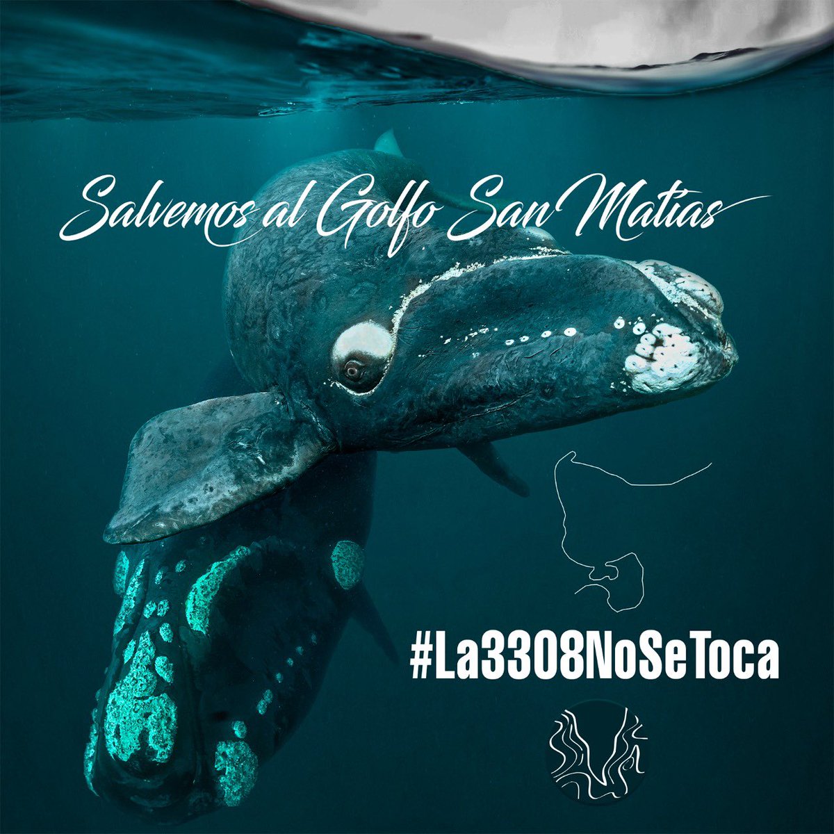 vfala's tweet photo. #la3308nosetoca  Vergonzoso lo que se intenta hacer en Rio Negro! https://t.co/5s2jWEQ3Mq