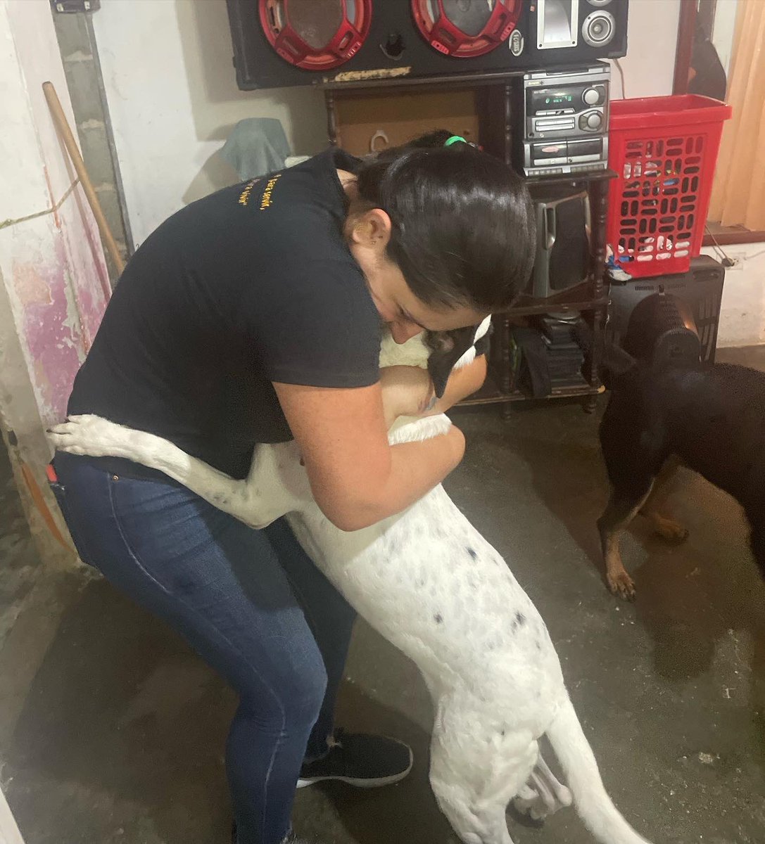 ayudemosapluto's tweet photo. Happy and blessed Friday to all π
Over here with my spoiled child, my big baby, my great #GoliathAP π
He is an extremely adorable little boy ππ«Άπ» He is also expecting a beautiful family.
Our current situation ππ» https://t.co/iWbwGEnwg2