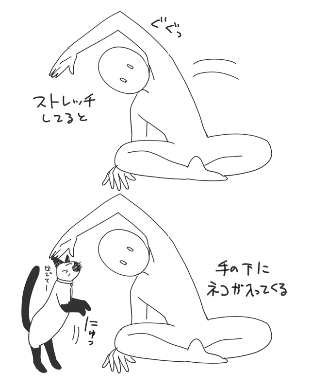最近の日課。 