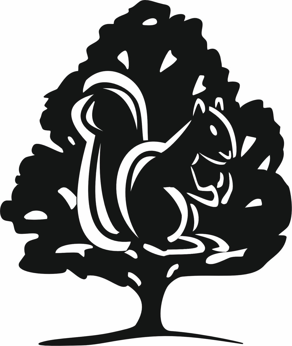 Thriftwood Campsite (@thriftwoodcamp) on Twitter photo 