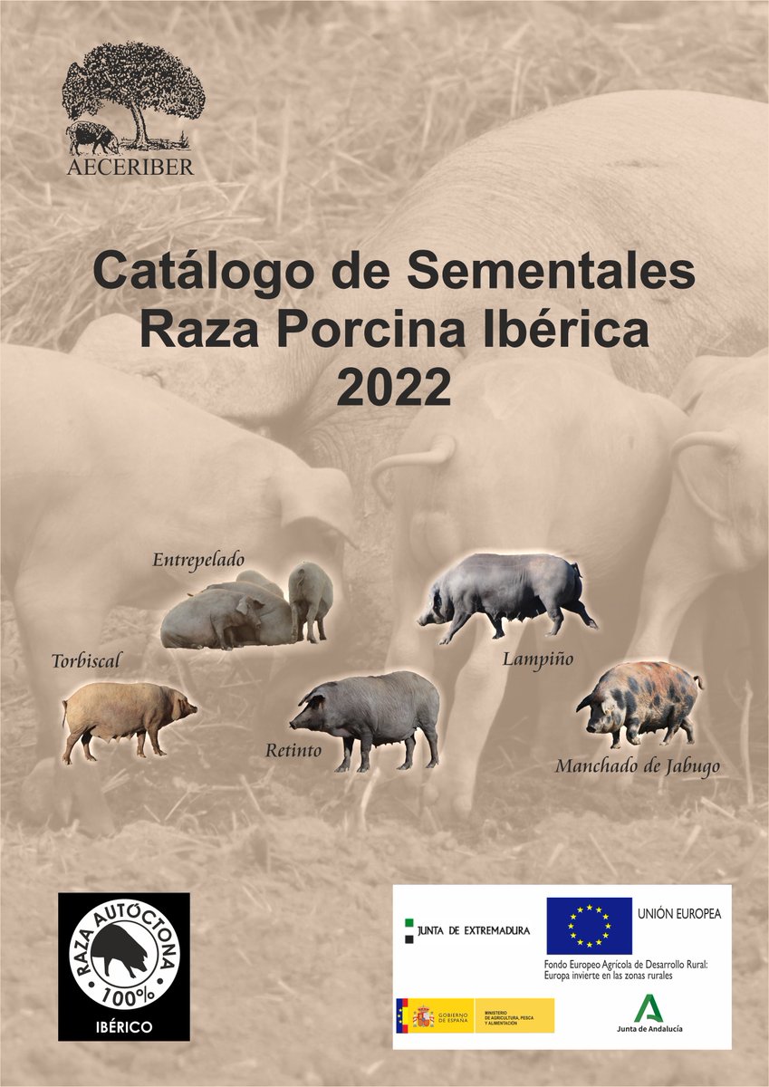 aeceriber's tweet photo. Publicado el Catálogo de Sementales de la Raza Porcina Ibérica 2022 #100x100nuestro Se puede descargar en https://t.co/DfZsXrpfeQ https://t.co/Ran8t0FLDW