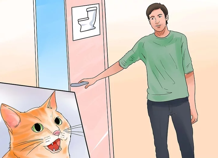 TrumpCardRabbit's tweet photo. 𝐇𝐨𝐰 𝐭𝐨 𝐭𝐨𝐢𝐥𝐞𝐭 𝐭𝐫𝐚𝐢𝐧 𝐲𝐨𝐮𝐫 𝐜𝐚𝐭
P10| Consider if toilet training is right for you and your cat
Toilet training is not for everyone. If you and your cat do not have the right mentality, you might be better off sticking to the litter box.
#kitten https://t.co/FfUrf4M1tK