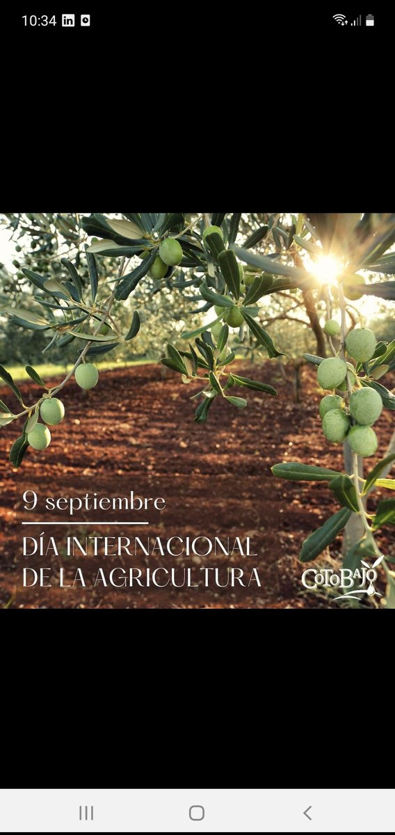 Agricultura, labor esencial de cultivo de la tierra para producir los alimentos esenciales para la sociedad. ¡Gracias a los que os dedicáis a esta labor esencial!
¡Somos olivareros, somos agricultores! 👩🏻‍🌾🫒🚜
#agricultura #FelizDia
#alimentos #sostenibilidad