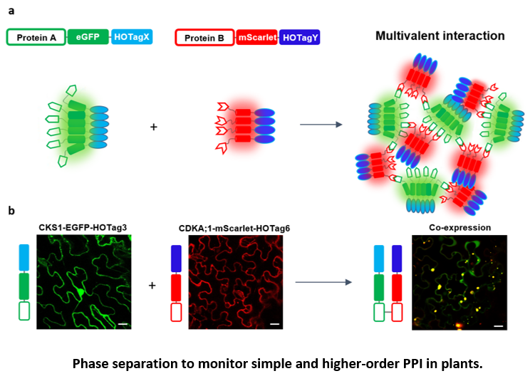 Alaeddine Safi tweet media